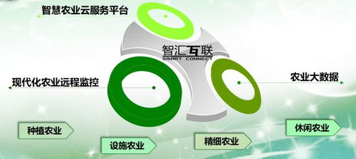 論軟件企業如何轉型智慧農業信息咨詢服務