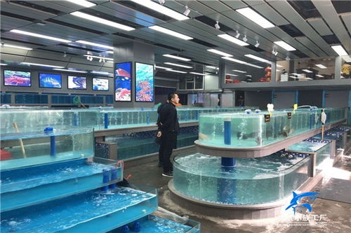 深耕品質與服務 桃江酒店水景定做為何青睞海鯊